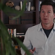 In this scene, Mark Wahlberg talks to a plant. A plastic plant.